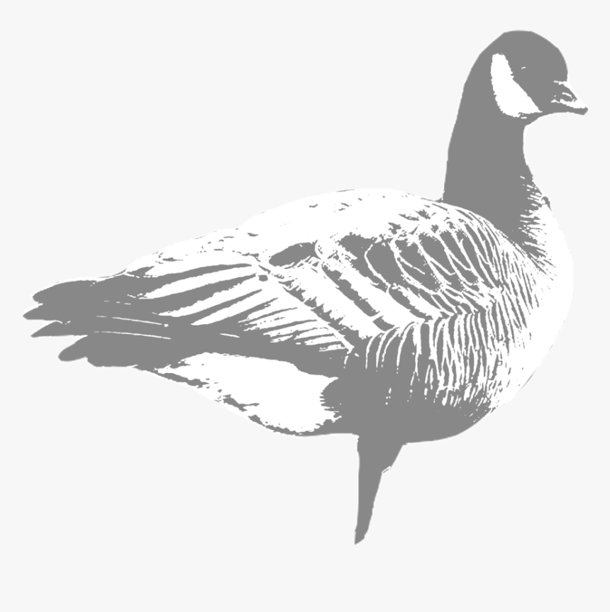 Cackler - California, HD Png Download