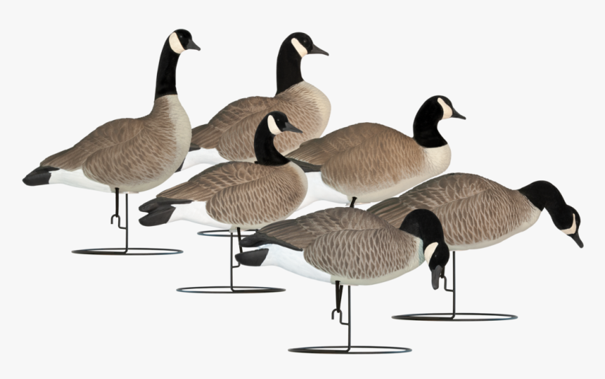 Hardcore Full Body Goose Decoys, HD Png Download