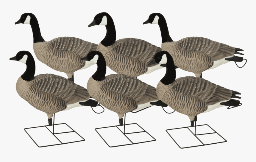 Ghg Xd Goose Decoys, HD Png Download