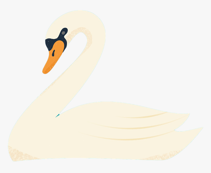Swan, HD Png Download
