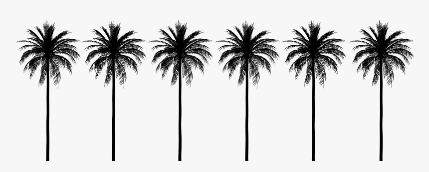 Attalea Speciosa, HD Png Download