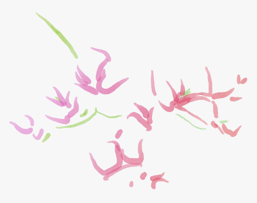 Dendrobium, HD Png Download