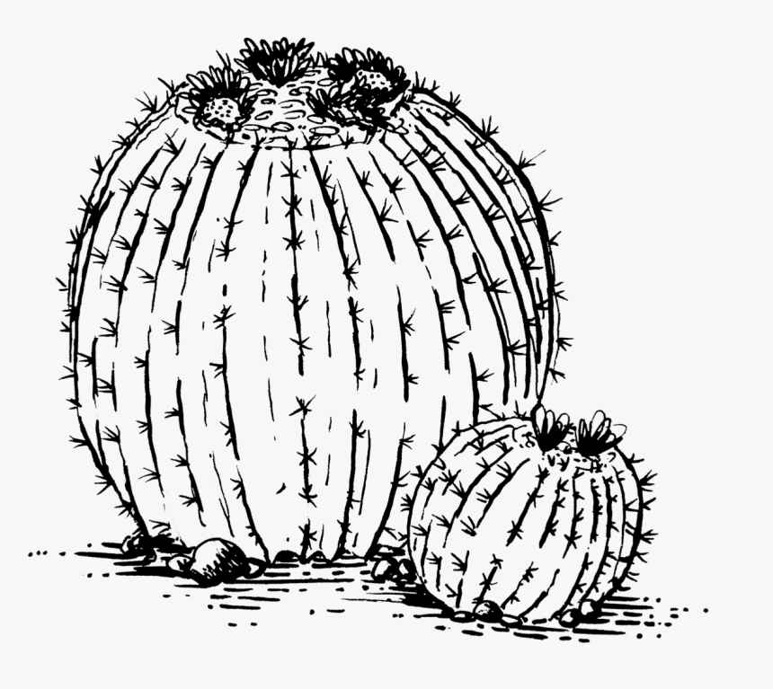 Illustration, HD Png Download