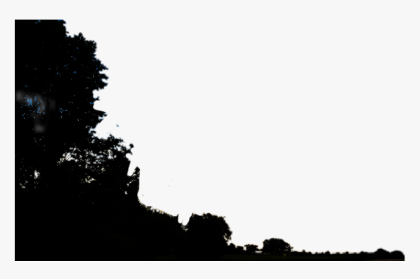 #trees #treeline #offset #bush #fawnelaine - Silhouette, HD Png Download