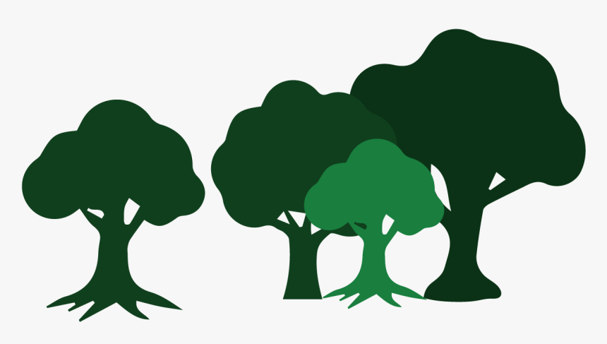 Wildcat Creek Tree Services Has The Skills To Assist - Illustration, HD Png Download