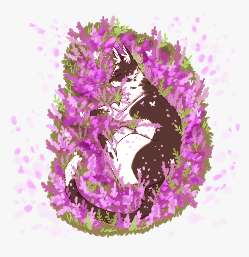 Wholesome Tall Boi ❀ ❁ ✿ , Png Download - Loosestrife And Pomegranate Family, Transparent Png