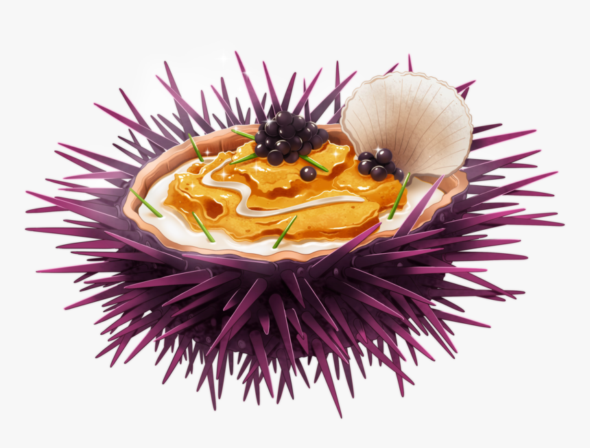 Sea Urchin - Honeybee, HD Png Download
