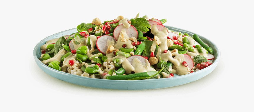 Tuna Salad, HD Png Download