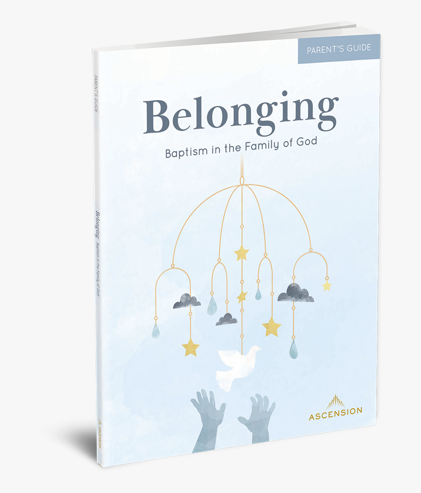 Parent S Guide 

 
 Data Rimg Lazy 
 Data Rimg Scale - Arch, HD Png Download