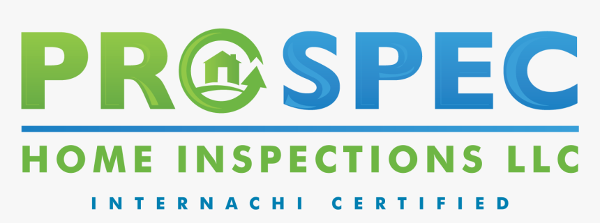 Woodpecker, HD Png Download