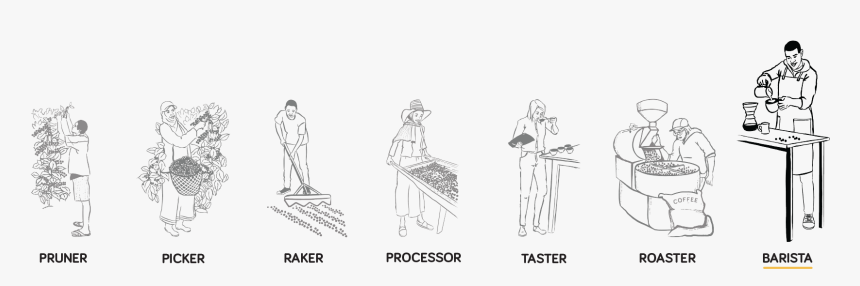 Sketch, HD Png Download