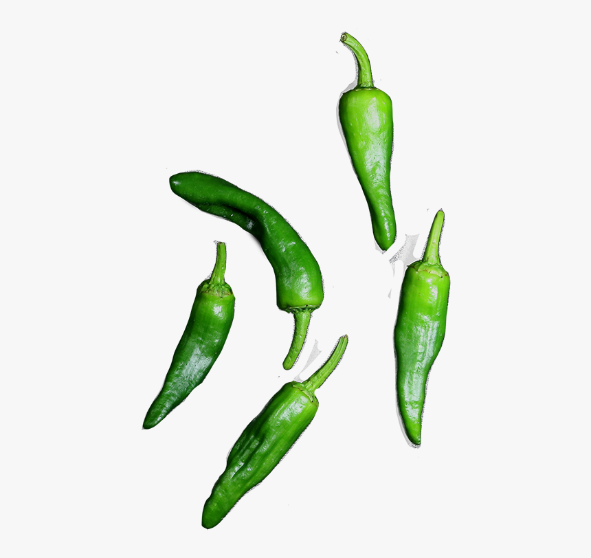 De Pimientos De Padron Zijn De Typisch Spaanse Tapas - Pimientos De Padron Png, Transparent Png