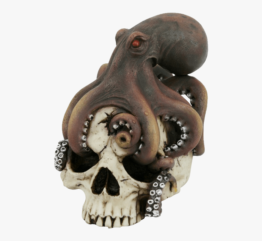 Octopus On Skull - Skull, HD Png Download