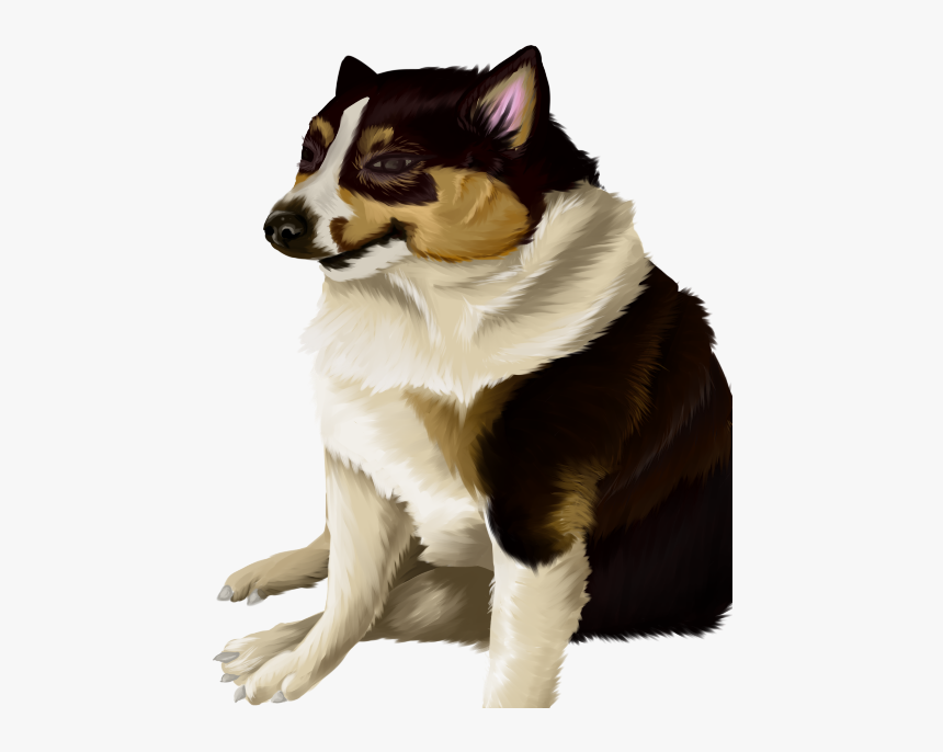 Dog Catches Something, HD Png Download