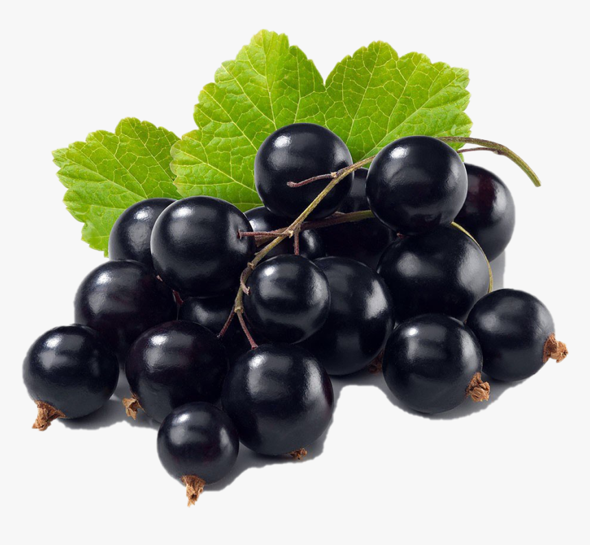 Black Currant Png Image - Transparent Black Currant Png, Png Download
