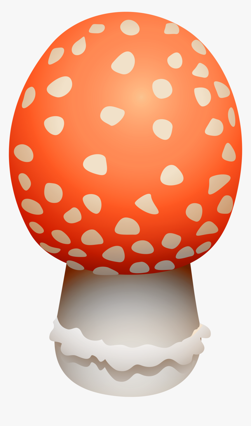 Amanita Muscaria Mushroom Png Clipart - Mushroom, Transparent Png
