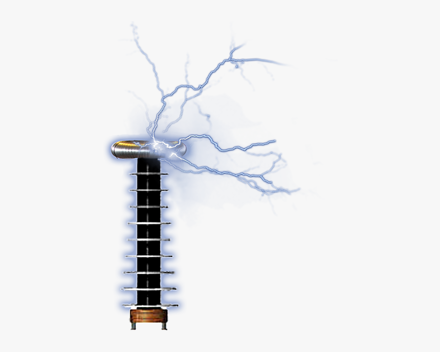 Tree, HD Png Download