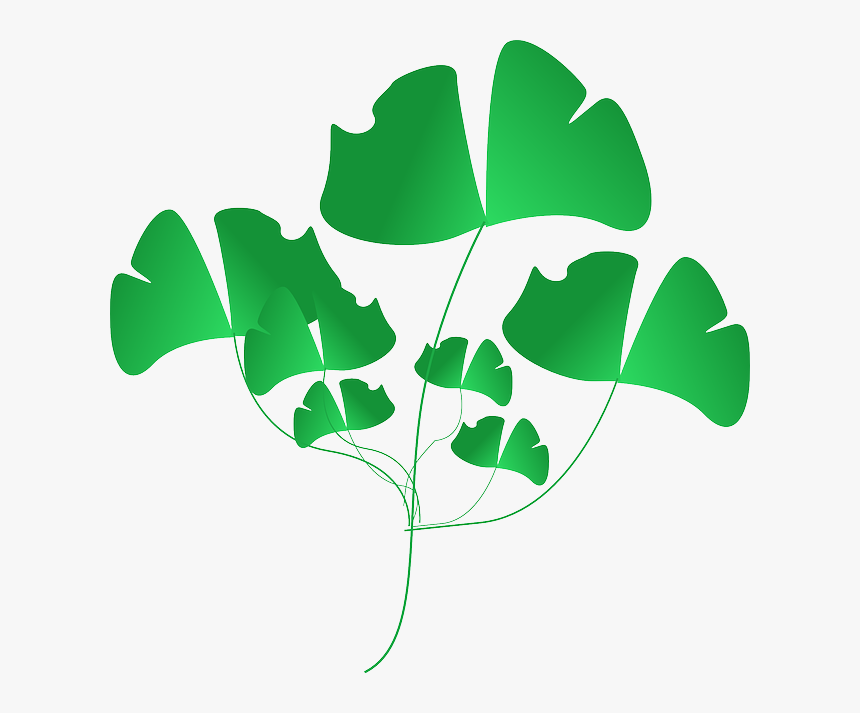 Plant, Green, Leaves, Nature, Weeds - Portable Network Graphics, HD Png Download