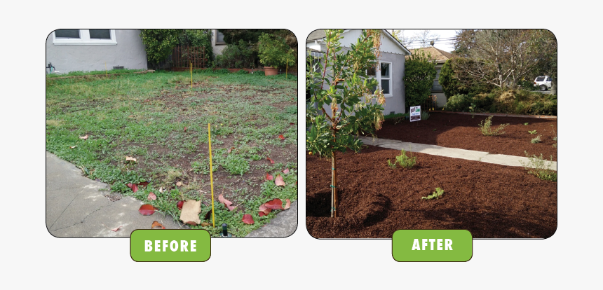 Planting Trees Before After, HD Png Download
