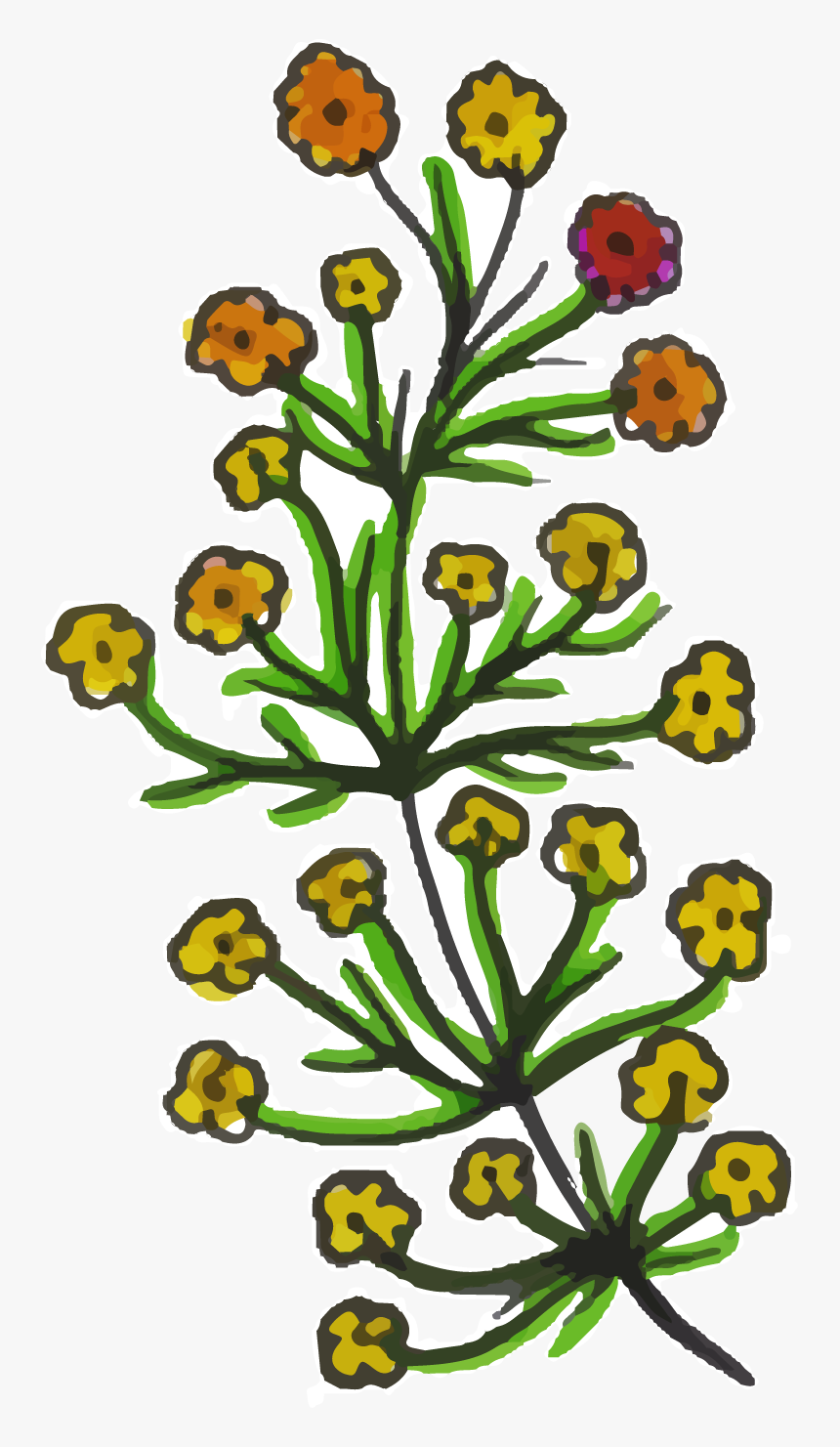 Clip Art, HD Png Download
