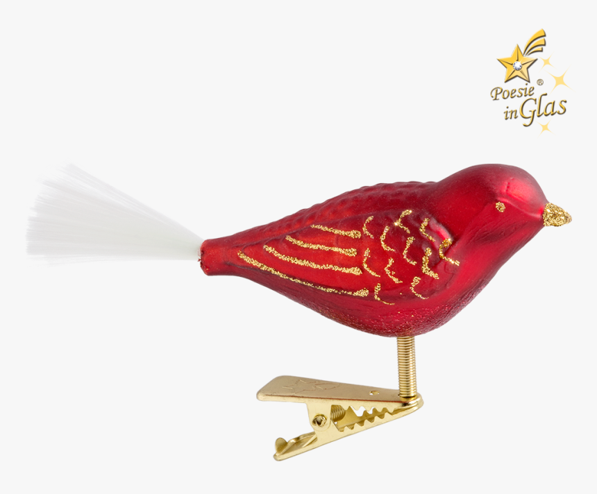 Finch, HD Png Download