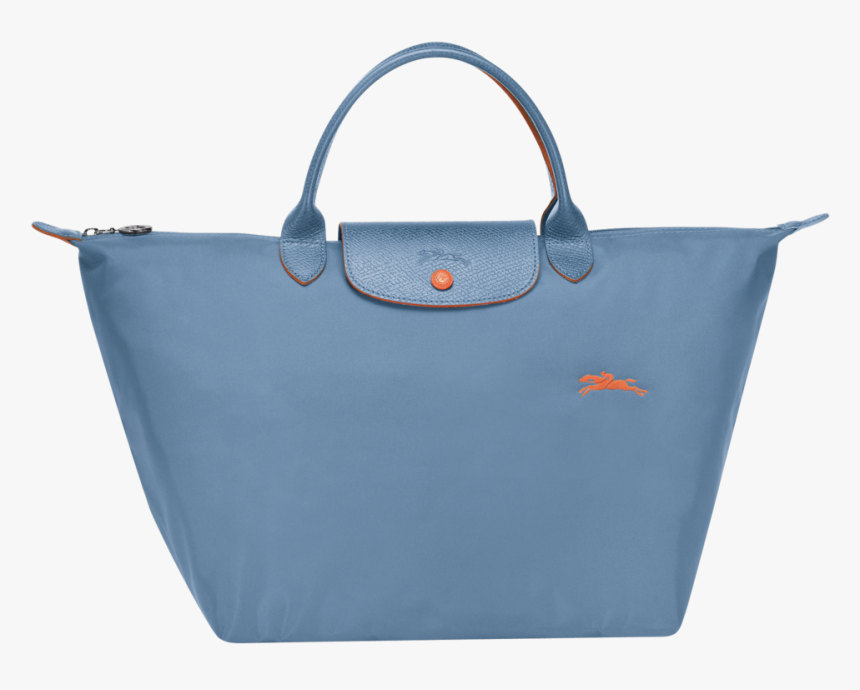 blue longchamp bag