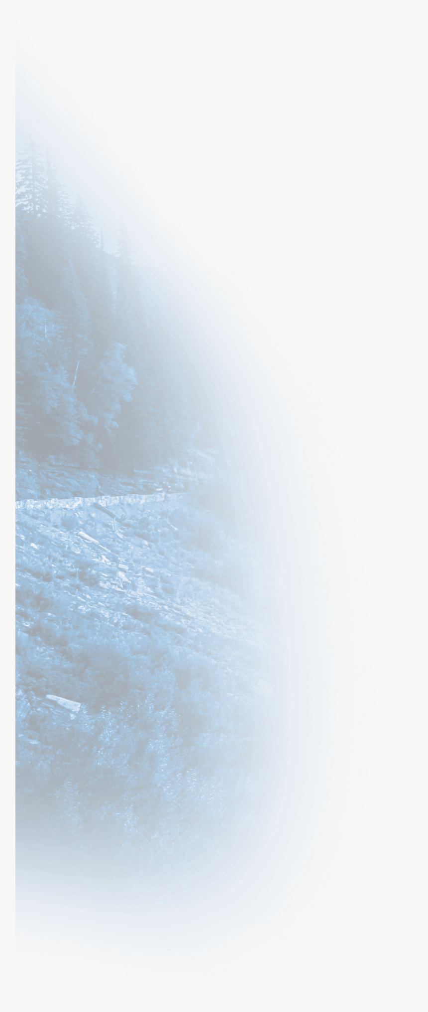 Tree, HD Png Download