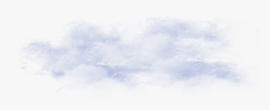 Tree, HD Png Download