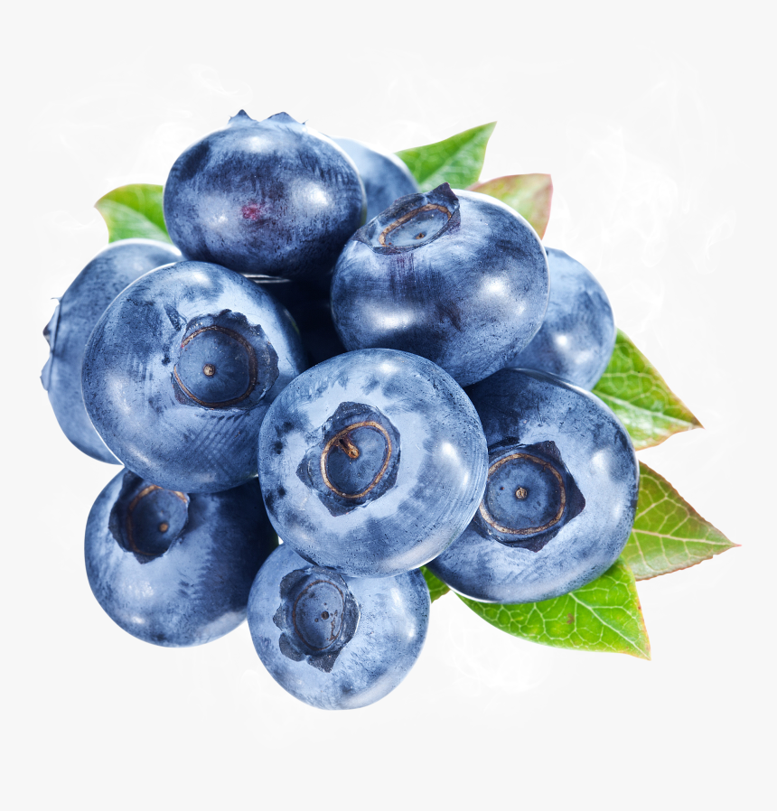 Blueberry, HD Png Download