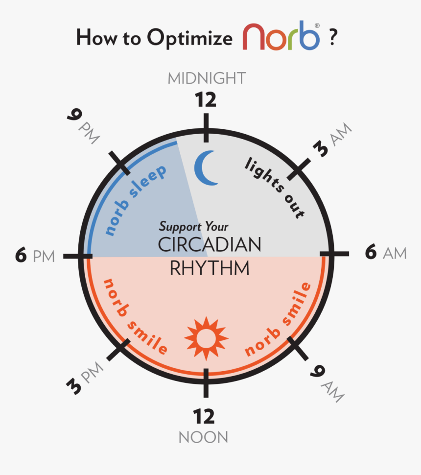 Diagram, HD Png Download