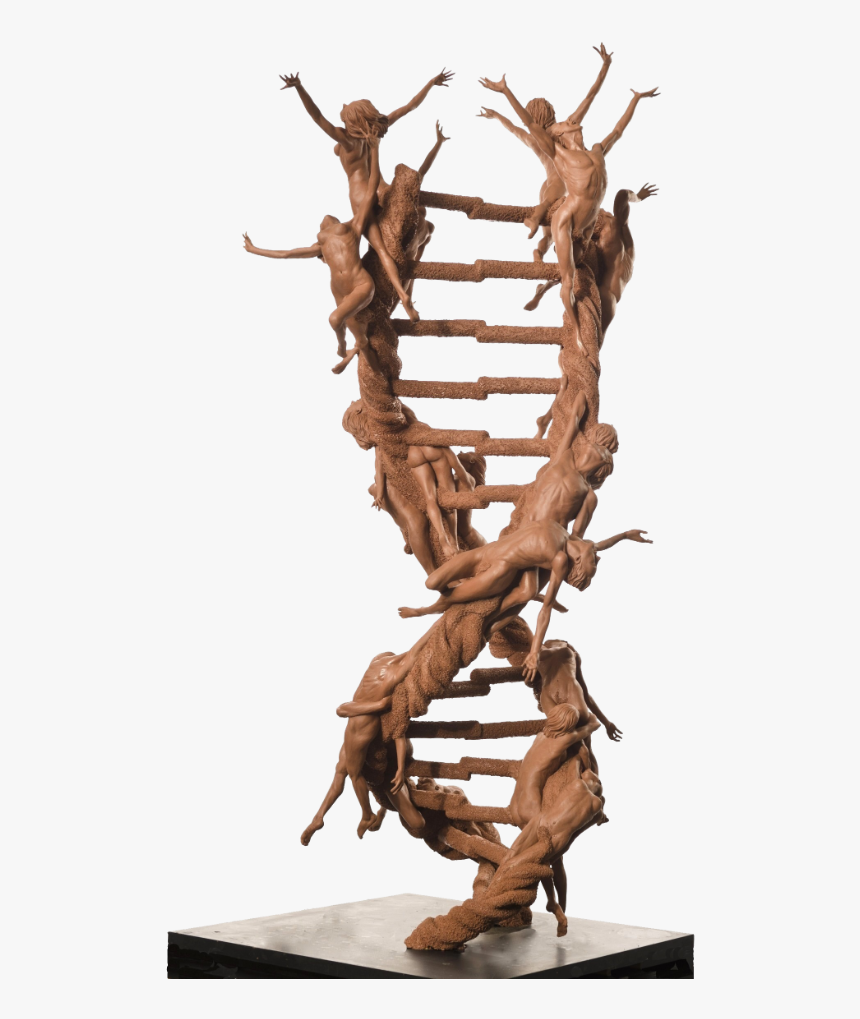 Double Helix In Art, HD Png Download