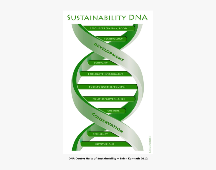 Graphic Design, HD Png Download