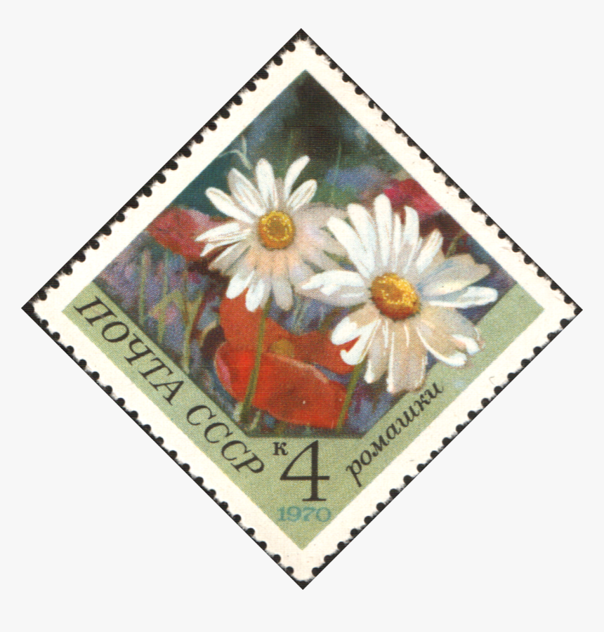 The Soviet Union 1970 Cpa 3943 Stamp - African Daisy, HD Png Download