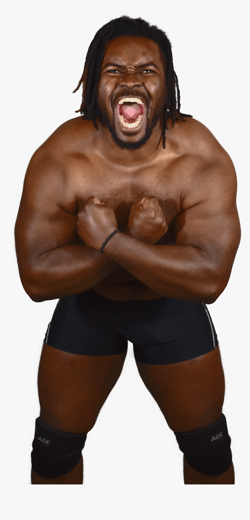 Gorilla, HD Png Download