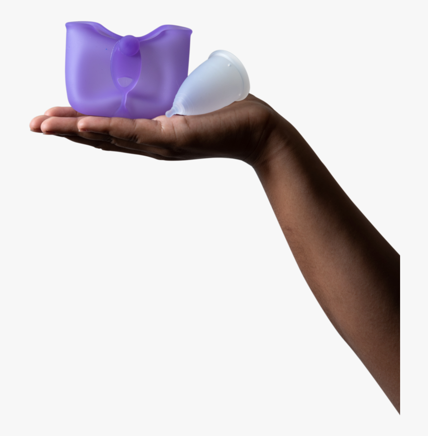 Cup1 - Sitting, HD Png Download