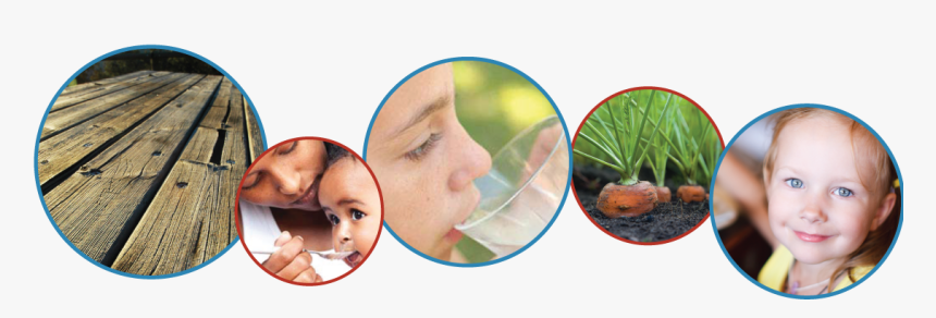 Wood Banner Image - Baby, HD Png Download