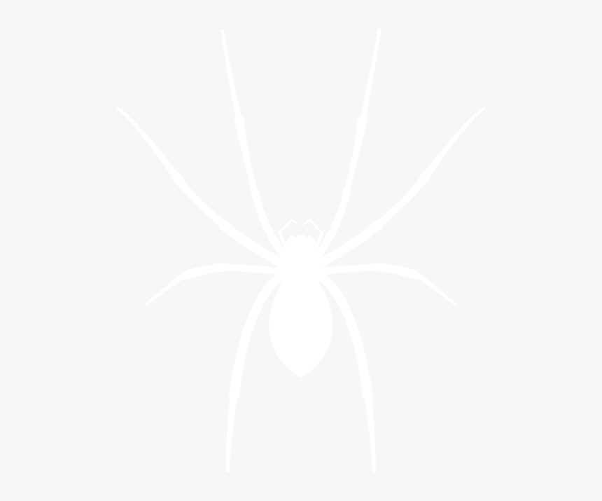 Spider-white - Johns Hopkins Logo White, HD Png Download