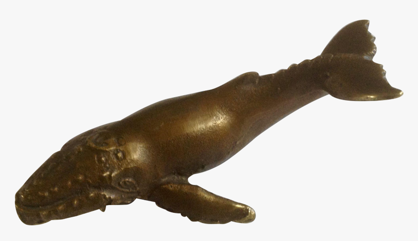 Sperm Whale Clipart Vintage - Dugong, HD Png Download