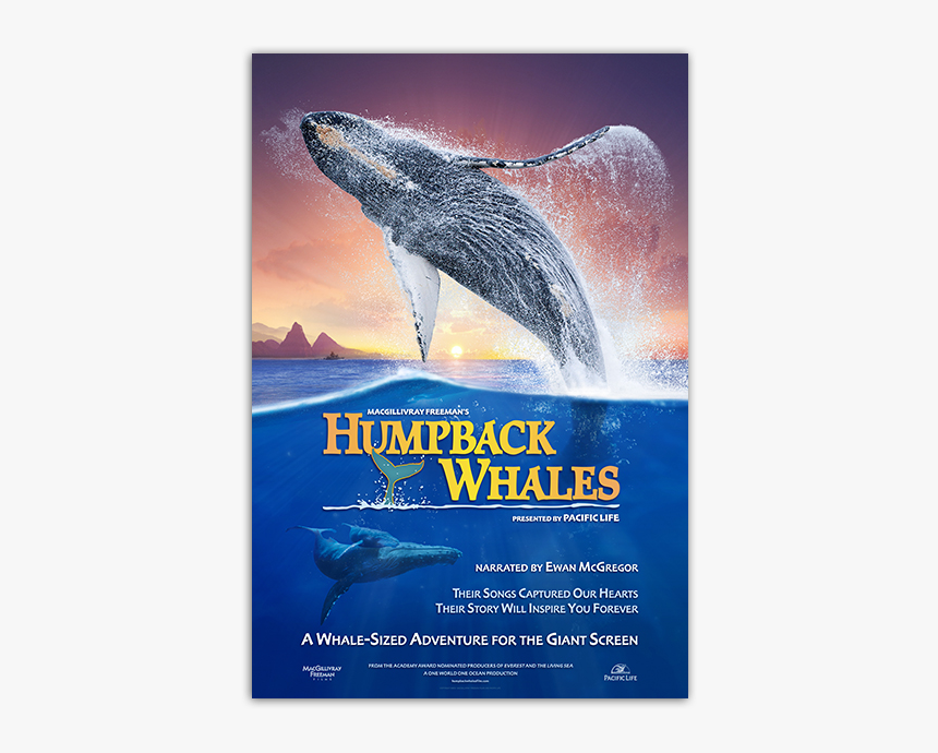 Humpback Whales Poster - Humpback Whales Movie Poster, HD Png Download