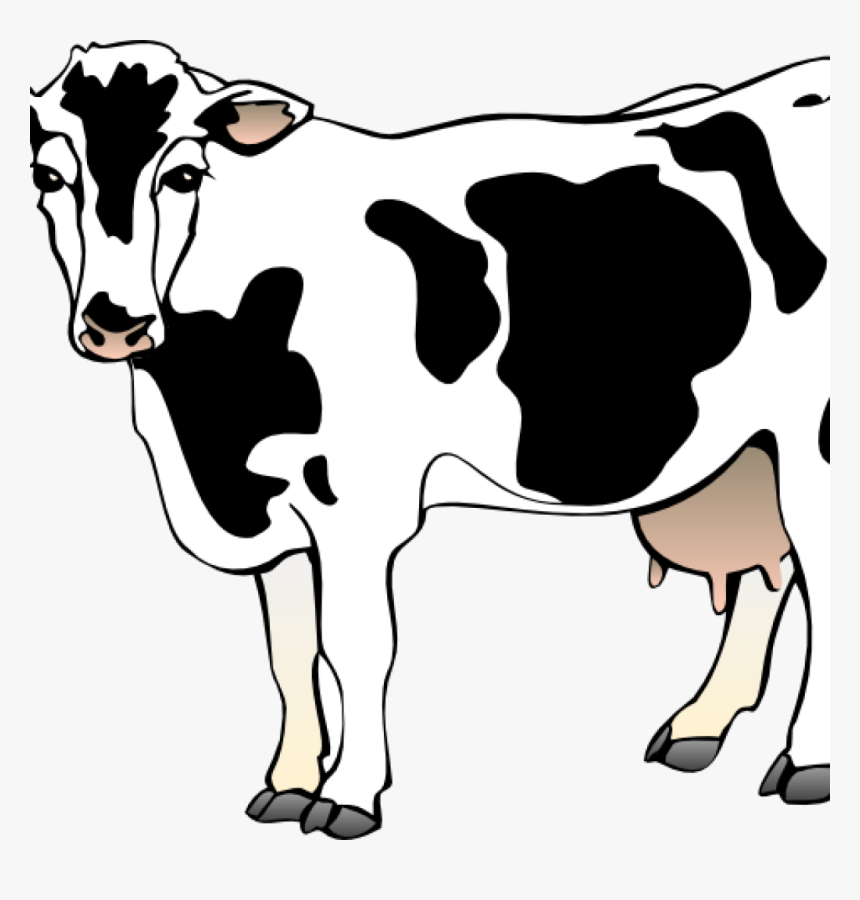 Free Cow Clipart Cow Clipart Cow 11 Clip Art Vector - Cow Clipart Transparent Background, HD Png Download