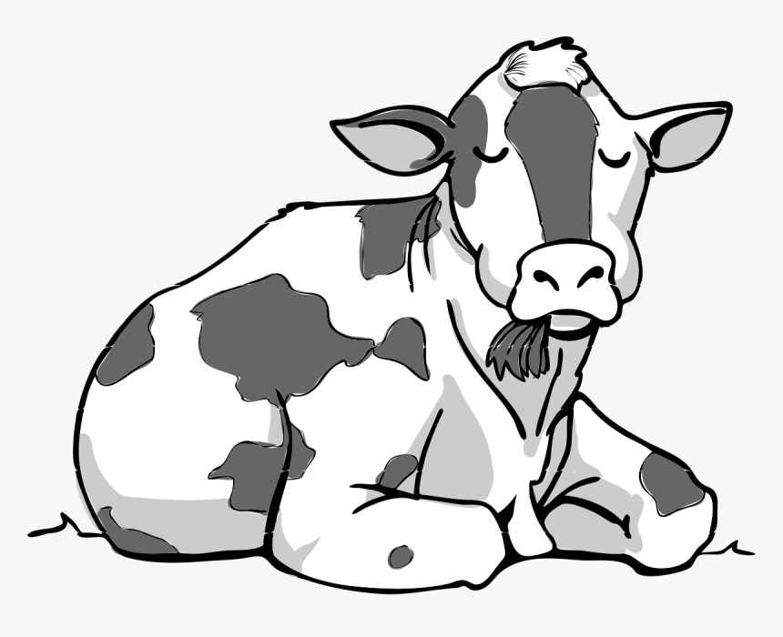 Cow Sitting Down Clipart, HD Png Download