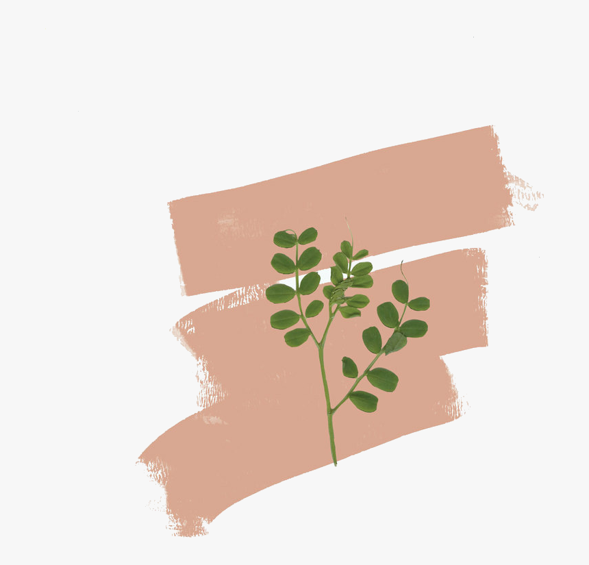 Png Image - Illustration, Transparent Png