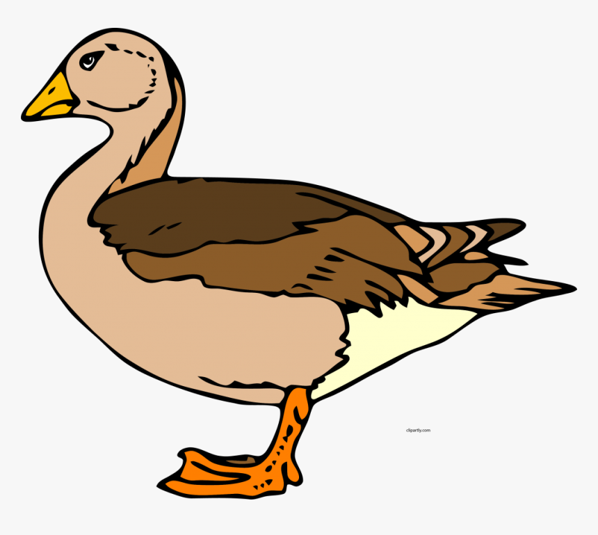 Duck Clip Art, HD Png Download