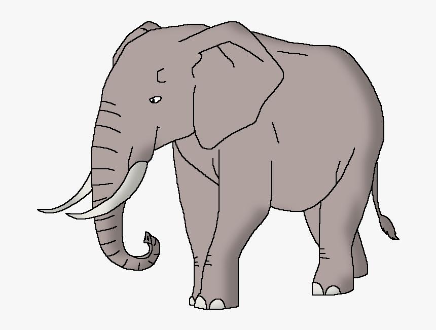 Wildlife Animal Pedia Wiki - Indian Elephant, HD Png Download