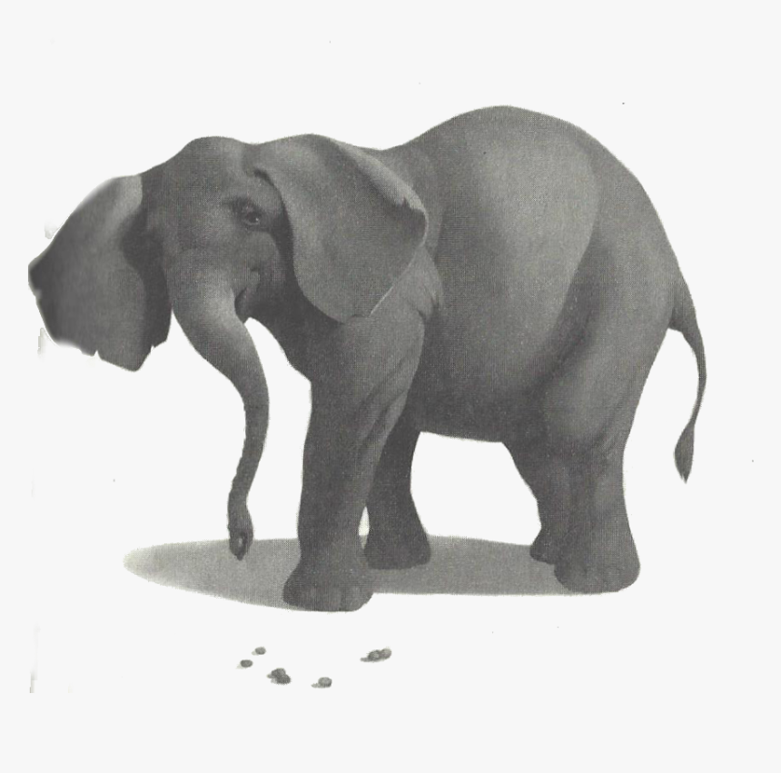 Picture - Big Top Mall Stella, HD Png Download