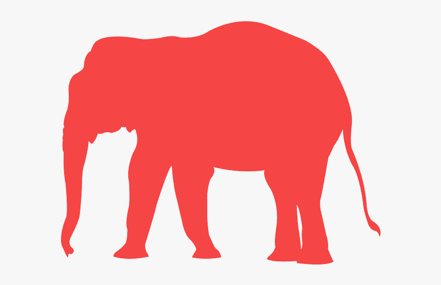 Indian Elephant, HD Png Download