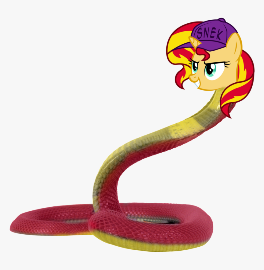 Serpent, HD Png Download