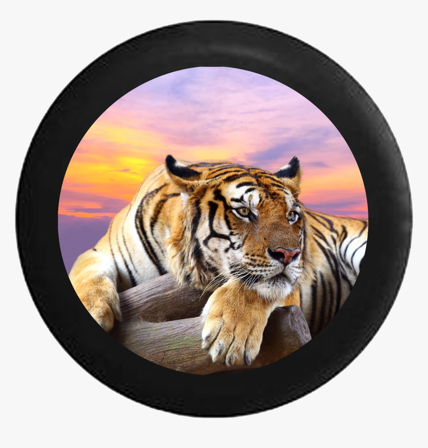 Lion Jungle Cat Sunset Sky On Log Jeep Camper Spare, HD Png Download