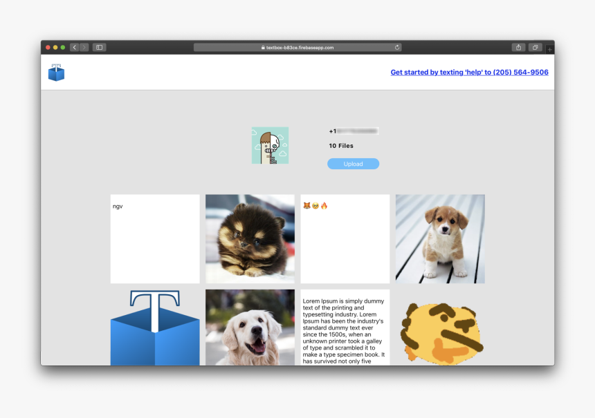 Cute Animal, HD Png Download
