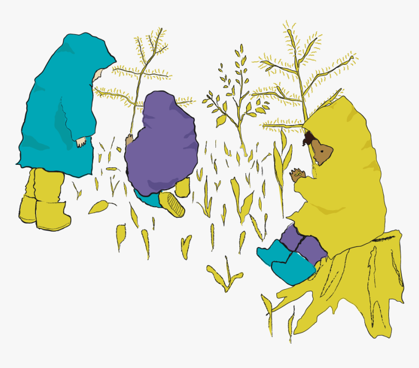 - Belle Demont - Illustration, HD Png Download